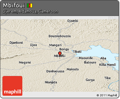 Shaded Relief Panoramic Map of Mbifoui