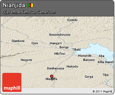 Shaded Relief Panoramic Map of Nianjida