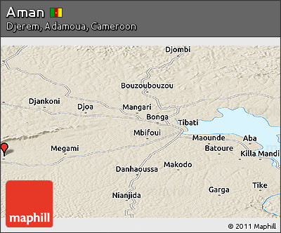 Shaded Relief Panoramic Map of Aman