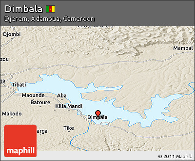 Shaded Relief Panoramic Map of Dimbala