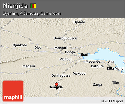 Shaded Relief Panoramic Map of Nianjida