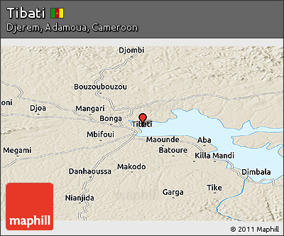 Shaded Relief Panoramic Map of Tibati