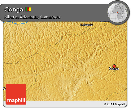 Physical 3D Map of Gonga