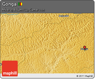 Physical 3D Map of Gonga