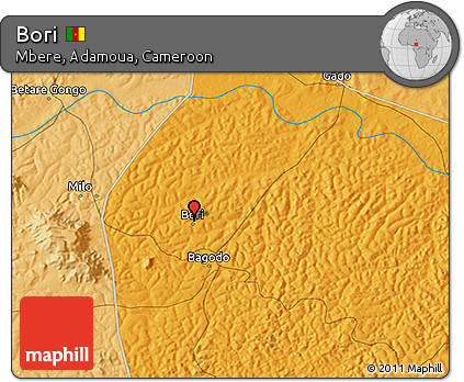 Political 3D Map of Bori