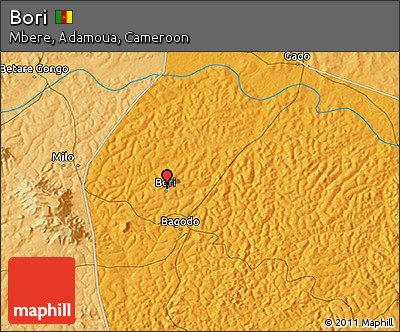 Political 3D Map of Bori