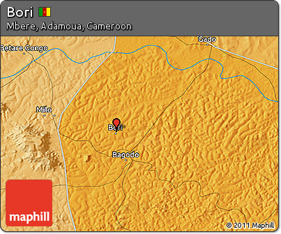 Political 3D Map of Bori
