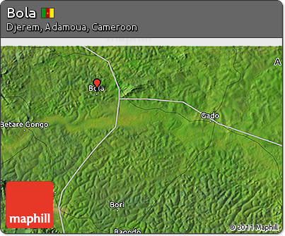 Satellite 3D Map of Bola