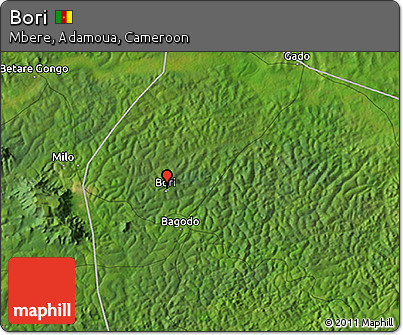 Satellite 3D Map of Bori