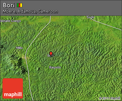 Satellite 3D Map of Bori