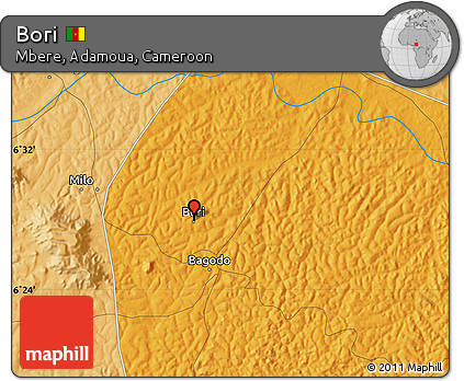 Political Map of Bori