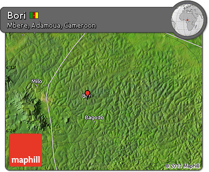 Satellite Map of Bori