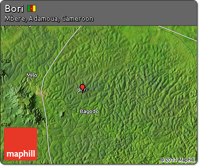 Satellite Map of Bori