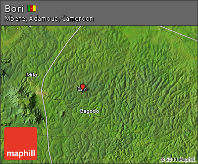 Satellite Map of Bori