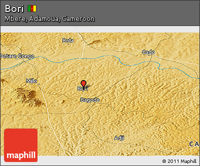 Physical Panoramic Map of Bori