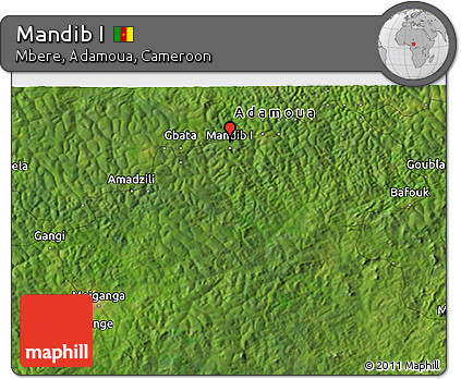 Satellite 3D Map of Mandib I