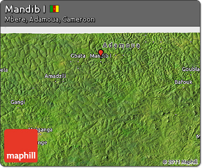Satellite 3D Map of Mandib I