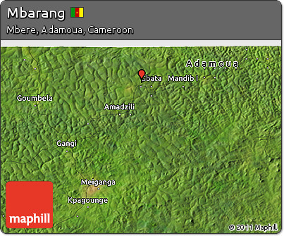 Satellite 3D Map of Mbarang