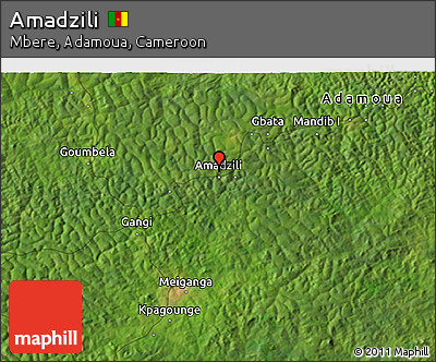 Satellite 3D Map of Amadzili