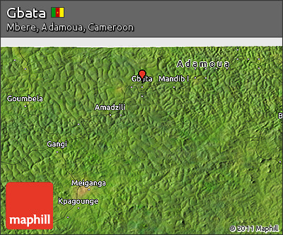 Satellite 3D Map of Gbata