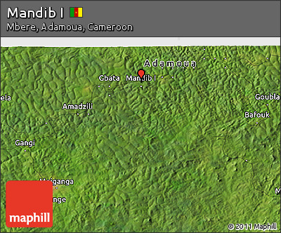Satellite 3D Map of Mandib I