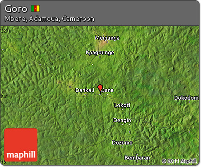 Satellite Map of Goro