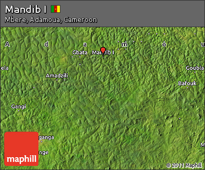 Satellite Map of Mandib I