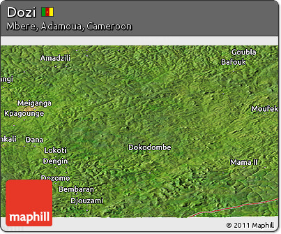 Satellite Panoramic Map of Dozi
