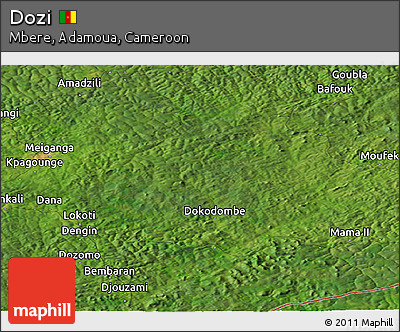 Satellite Panoramic Map of Dozi