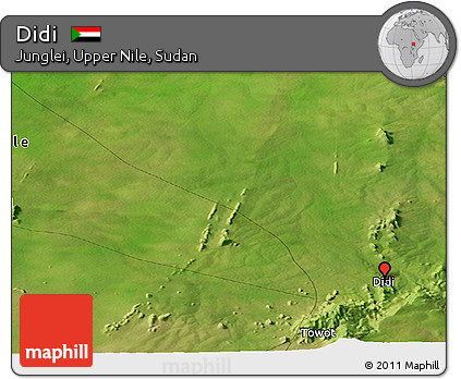 Satellite Panoramic Map of Didi