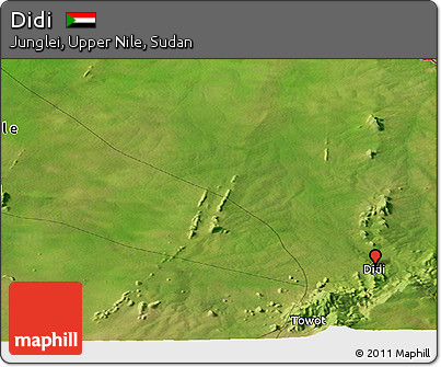 Satellite Panoramic Map of Didi
