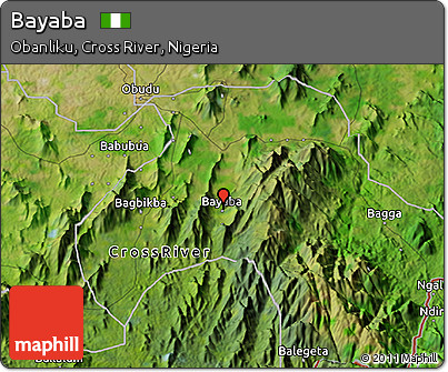 Satellite 3D Map of Bayaba