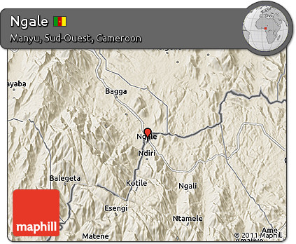Shaded Relief 3D Map of Ngale