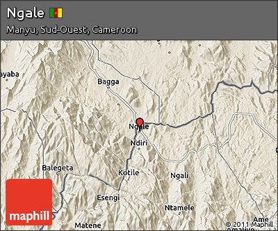 Shaded Relief 3D Map of Ngale