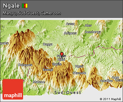 Physical Panoramic Map of Ngale