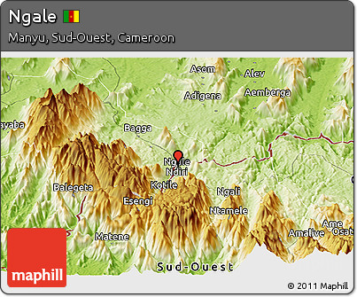 Physical Panoramic Map of Ngale