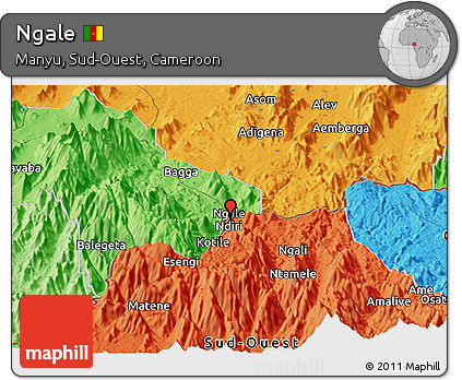 Political Panoramic Map of Ngale