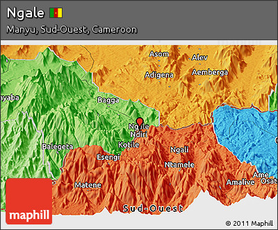 Political Panoramic Map of Ngale