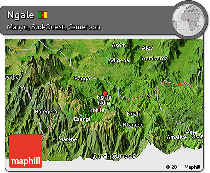 Satellite Panoramic Map of Ngale
