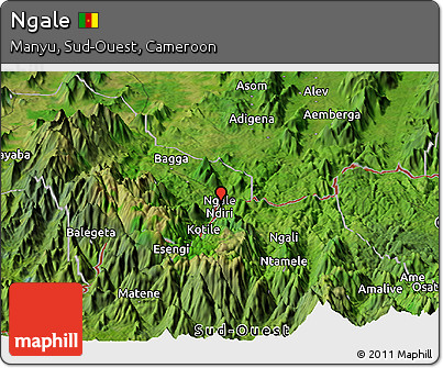 Satellite Panoramic Map of Ngale