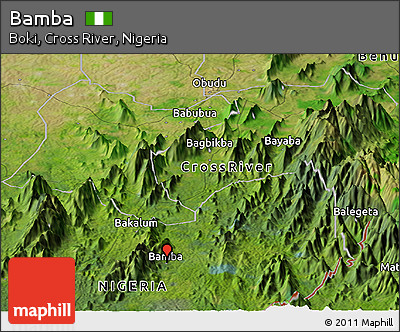 Satellite Panoramic Map of Bamba