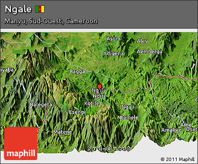 Satellite Panoramic Map of Ngale
