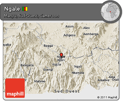 Shaded Relief Panoramic Map of Ngale
