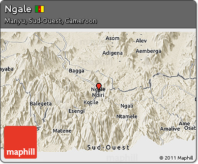 Shaded Relief Panoramic Map of Ngale