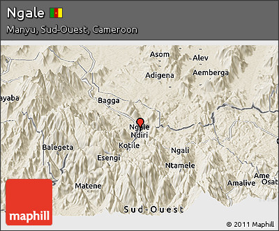 Shaded Relief Panoramic Map of Ngale