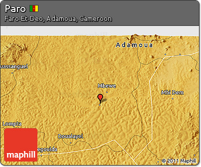 Physical 3D Map of Paro