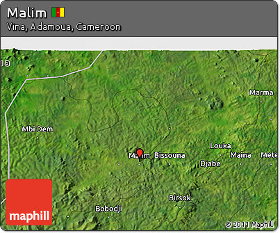 Satellite 3D Map of Malim