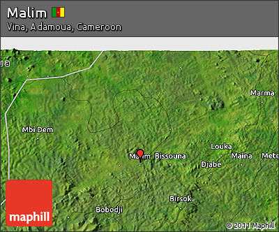 Satellite 3D Map of Malim