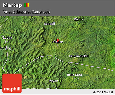 Satellite 3D Map of Martap