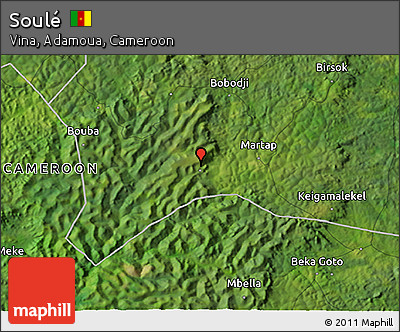 Satellite 3D Map of Soulé
